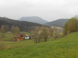 Journée du coeur à Sélestat