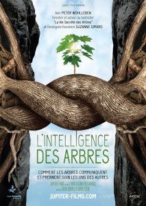 Conférence sur la maladie de Lyme @ Salle Communale | La Grande-Fosse | Grand Est | France