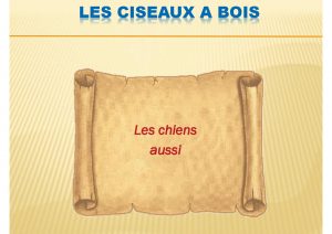 Journée du coeur à Sélestat