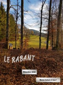 Journée du coeur à Sélestat