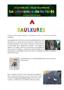 "Voyage de la Parole et du Son ?" @ Au Cœur du Pin Sylvestre | Plaine | Grand Est | France