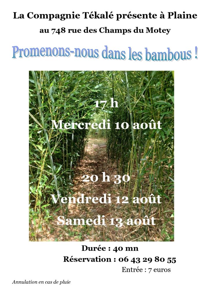 Promenons-nous dans les bambous ! @ 748 Rue du Motey | Plaine | Grand Est | France