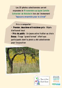 Journée du coeur à Sélestat