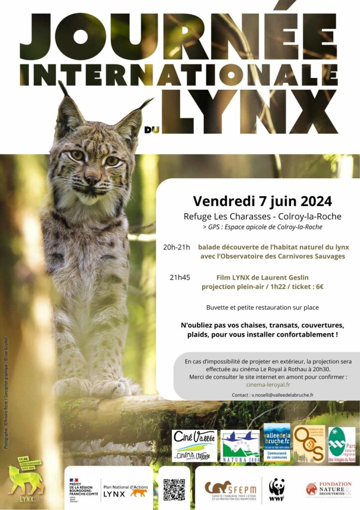 Journée internationale du LYNX @ Charasses | Colroy-la-Roche | Grand Est | France
