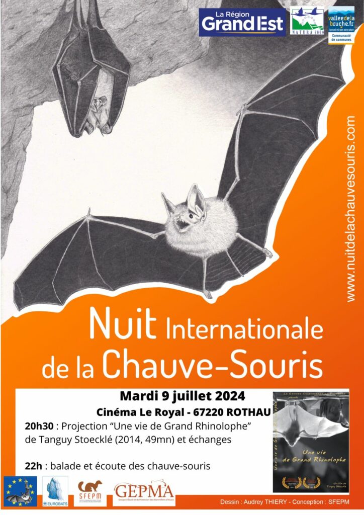 Nuit internationale de la Chauve-Souris @ LE ROYAL | Rothau | Grand Est | France