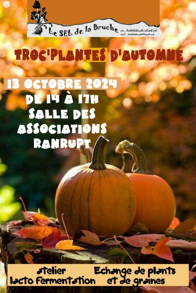 Troc'plantes d'automne @ Maison des associations de Ranrupt | Ranrupt | Grand Est | France